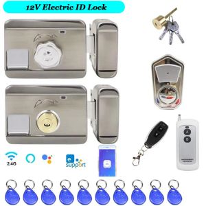 Blocca blocco ID elettrico 125khz Lock di accesso 12V Accesso Blocco opzionale Ewelink Wif Lock Control Utilizzo con campanello Video del sistema di allarme