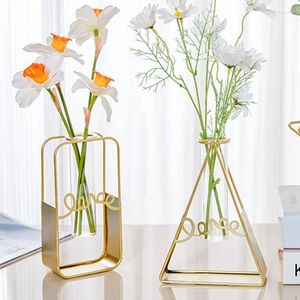 Vazolar Demir Altın Sanat Vazo Metal Çiçekler Pot hidroponik ekici kabı cam masaüstü süs tüpü ev dekor