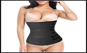 Epack Sanua Slimming Sienming Treinador lombar lombar da cintura Brace Belt Belt Gym Sport Sport Ventre Belt Corset Trainer Fitness Body Shaper2847900