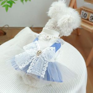 Vestido de vestuário de cachorro e vestido de outono de gato pequeno vestuário de tamanho médio renda de pérola de princesa fofa pet saia reboque