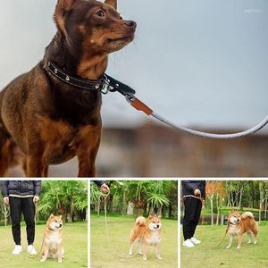 Dog Collars Leashヘビーデューティー調整可能な牽引ロープ|快適なハンドルが保護された革のウォーキングリード