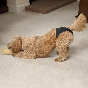 Собачья одежда подгузники для подгузников для питомца Регулируемые физиологические штаны для менструальных периодов удобный запас
