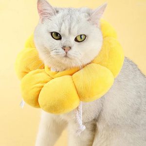 Hundkläder Elizabeth Collar Pet Anti-Bite valphalsar Handla härliga katt bomullsvalpar