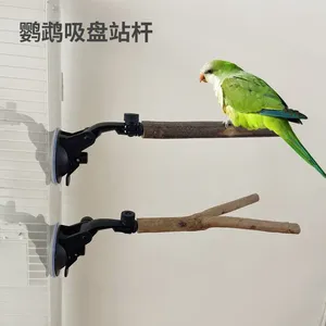 Andra fågelförsörjningar papegoja gaffel sugstation station pol timmerbåge badväggträning interaktivt stativ leksaker