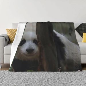 Blankets Huahua Panda Animal Blanket Winter Warmth Flannel Fleece Throw For Luxury Bedding Affordable