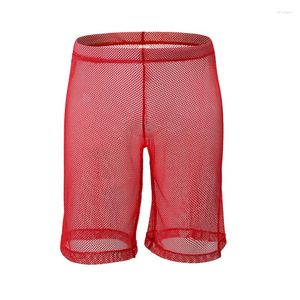 Underpants Men Boxers Shorts Sexy Gay Underwear Transparent Mesh Panties Man Solid Breathable U Convex Pouch Long Leg Cueca S-XL
