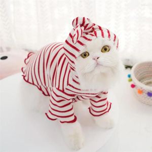 Köpek Giyim Evcil Hayvan Hoodie Moda Çizgili Kapüşonlu Kıyafetler Sonbahar Kışlı Sevimli Kedi Ceket Dantel Trim Teddy Bichon Malzemeleri