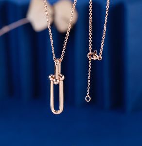 Biżuteria naszyjniki białe platowane 925 srebrne studia luksusowe projektanci marki listy geometryczne słynne kobiety okrągłe kryształowe złoto 1041