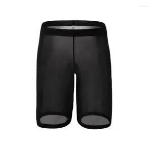 Underpants sexy schwule Unterwäsche Männer Boxer Shorts Ultra-dünn transparent mesh fest atmungsaktiv u konvexer Beutel langes Bein Cueca S-XL