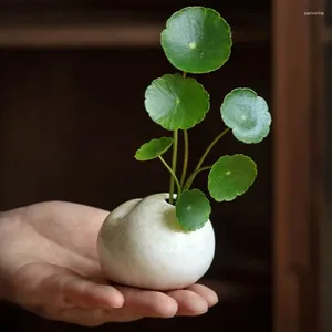 Вазы творческая керамическая цветочная посуда мини -вставки могут быть гидропоницией маленькой вазы