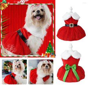 Abbigliamento per cani abiti divertenti abiti da Natale abbigliamento Calda vello cucciolo di moda natalizio Babbo Natale abito da posto