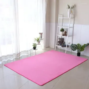 Carpets Simple Coral Living Room Carpet Sofa Floor Mat Home Coffee Table Velvet Bedside Full Of Mattresses Gray22