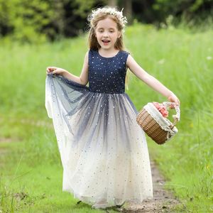Flower Girls Tulle Dress Bridesmaid Sparkle Wedding Pageant Dresses Princess Birthday Party