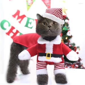 Abbigliamento per cani Big Cat Babbo Natale vestiti per animali domestici Autunno e Vale invernale Funny Two Feaken Trasformazione dei capelli dorati