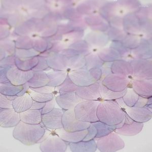 装飾的な花60 PCS/セット天然ピンクアジサイdiy乾燥UVエキスポキシー樹脂型充填フラワーアートプレスメイク