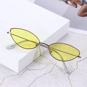 Outdoor Eyewear schöne Mode schöner Sommer kleiner Rahmen UV400 Retro Sonnenbrille Frauen Sonnenbrillen Damen Schatten