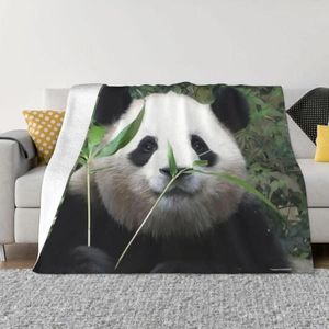 Battaniyeler fubao panda fu bao hayvan battaniye ekose sherpa yatak odası dekor için atış