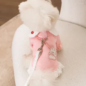 Köpek giyim sonbahar ve kış evcil hayvan kıyafetleri sevimli crossbody çanta tatlı etek küçük orta boy pembe prenses elbise chihuahua Yorkshire