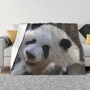 Cobertores Huahua Panda Animal Clanta quente Lã de flanela de flanela para caminhar camping de viagens