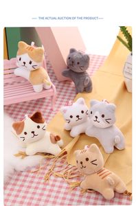 Instagram cartoon cat plush doll, kitten doll, backpack, pendant, pet toy doll, machine doll wholesale