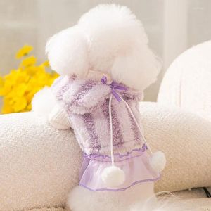 Vestuário de cachorro Autumn e inverno Roupas de animais de estimação de duas peças Conjunto de duas peças adorável vestido de princesa