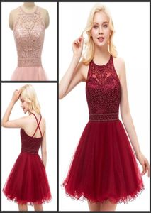 Short Prom Dresses for Juniors Embroidery Appliques Tulle Homecoming Dress Backless Teens Semi Formal Special Occasion Dresses9785963
