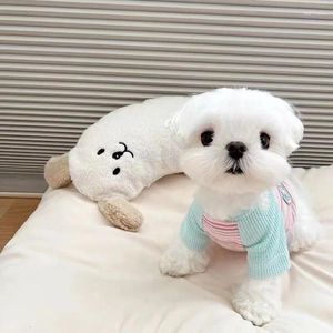 Dog Apparel Candy Color Hoodie Clothes Kawaii Letter Design Raglan Sleeve T Shirt Small Clothing Cat Winter Warm Pet Items Wholesale