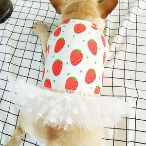 Hundkläder 2024 Spring Summer Pet Dress Sweet Sweet Strawberry Princess Gaze Tutu kjol Valpkläder för små hundkläder
