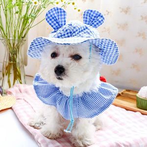 Abbigliamento per cani Cappello da pet orsacchio