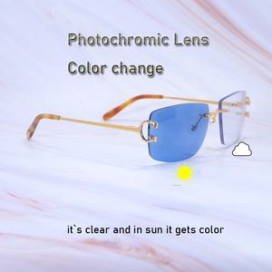 Photochromic Lenses Sunglasses Luxury Desinger Carter Wire C Color Change Sun Glasses Two Colors Lenses 4 Season Shades Glasses 828 Big Square