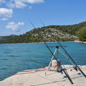 Le canne da pesca dei monopodi supportano supporto per canne telescopiche multifunzioni pieghevoli a attrezzatura da pesca da esterno