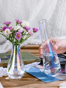 Vase Nordic Minimalist Style電気めっきガラス花瓶の水耕栽培フラワーアレンジメントリビングルームデスクトップミニオーナメントデスク