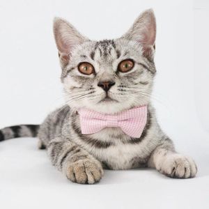 Hundkläder 2st Pet Collar Plaid Bow Cat Tie Accessories Grooming levererar hundar Tillbehör