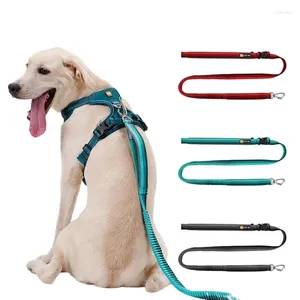 Dog Collars Outdoor Pet Carrier Elastic Retractable Webbing Anti-Lost Explosion-proof Punch Leash