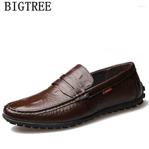 Casual Shoes Crocodile Men Leder -Laibers Fahren Sepatu Slip auf Pria Zapatos de Hombre Mocassin Homme Ayakkabi