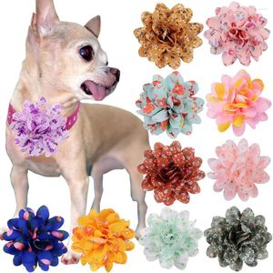 Hundebekleidung 20 Pack Pack Fliege Chiffon Blumen für Hals