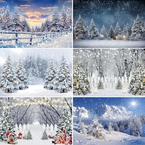 LaeacocoCo Winter Snow Forest PO Hintergrund Weihnachtsbaumdekoration Innenporträtprographen Landschafts Hintergrundparty Banner 240326