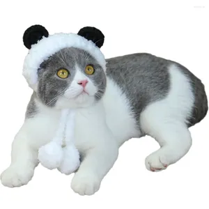 Vestuário para cães panda urso traje pescoço de ouvido mais protetor para a cabeça para gato e tamanho s