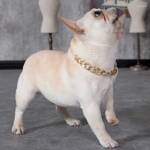 Hundkläder husdjur valp kedja krage punk guld katt bred halsband justerbar