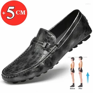 Sapatos casuais panos de homem elevador de elevador masculino masculino a altura de couro de vaca Aumentar palmilhas 5cm/formal plana alta