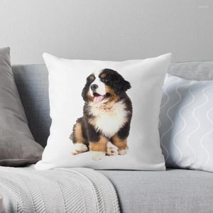 Travesseiro Bernese Mountain Dog Puppy Throw Decorative Cover for Living Room Sofá