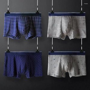 UNDUPTS 4pcs Erkek Panties Boxer Erkekler İç Çamaşır İnsan Modal Şortları Erkek Çift Seksi Set Calecon Büyük Boyut Aşağıda LOT