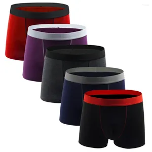 MUITOPANTES 5PCS Mens Sexy Calças coloridas Blocks de roupas íntimas Soft Sports Sports Casual Boxer for Man