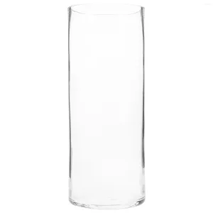 Vasen wirklich aussehende künstliche Blumen Hydroponische Vase Desktop Halter Pflanze Weihnachtsfeiertag Glas Home Zylinder