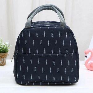 Sacos de armazenamento 2024 Bolsa de caixa de bento de desenho animado fofo pequeno bolsa térmica isolada para crianças bolsa de almoço escolar infantil Bola de bolsa grátis