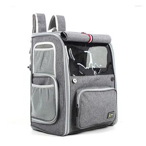 Cat Carrier Carrier Backpack Mesh Mash Baglie da viaggio per animali domestici traspiranti per sacchetti per gatti per cani per cime campeggio