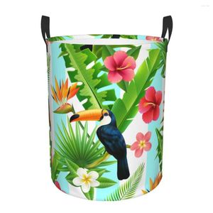 Tvättpåsar Fällbar korg Rainforest Toucan Round förvaring Bin Stor hamper Collapsible Cloth -leksakshinksarrangör