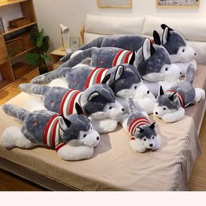 Przyjazd 50/70/100/120 cm Śliczne miękkie kawaii giganty Husky Plush Toys Pies Flush Flush Flush Flush Pchane Zwierzęta lalki dla chłopca