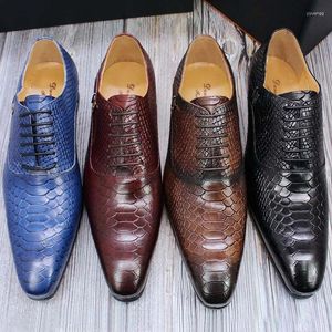 Lässige Schuhe Luxus Männer Oxford Snake Skin Prints Klassische Style -Kleid Leder Kaffee Schwarz Schnürung spitzer Zeh Formal A19