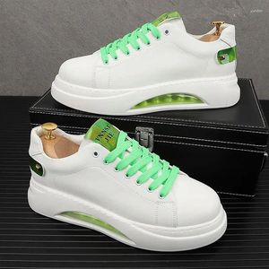 Casual Shoes Harajuku White Sneakers Men Spring Vulcanized Air Cushion Street Hip Hop Platform Footwear